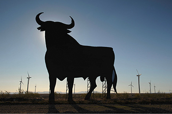 InvestInvent Stier Teaser 350x233px